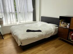 Angullia Park Residences @ Orchard (D10), Apartment #455104931